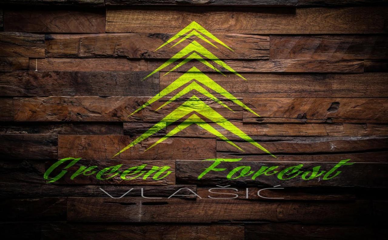 Green Forest Vlasic Kültér fotó